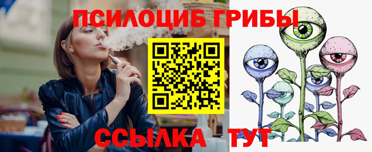 Псилоцибиновые грибы Psilocybe  Вход с VPN  Бугуруслан 