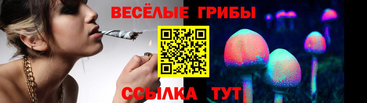 Галлюциногенные грибы Psilocybine cubensis Бугуруслан